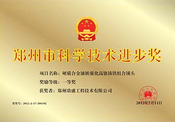 鄭州市科技技術進步獎