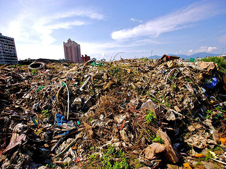 陳（chén）腐垃圾分揀處理